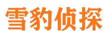 西乡寻人公司